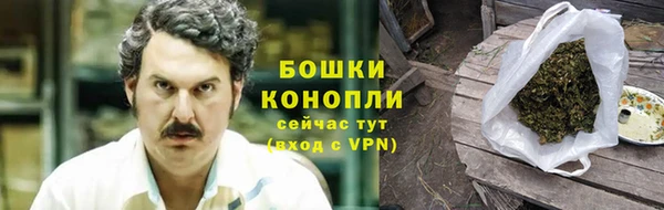 тгк Дмитриев