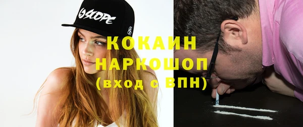 стафф Ельня