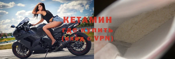 стафф Ельня
