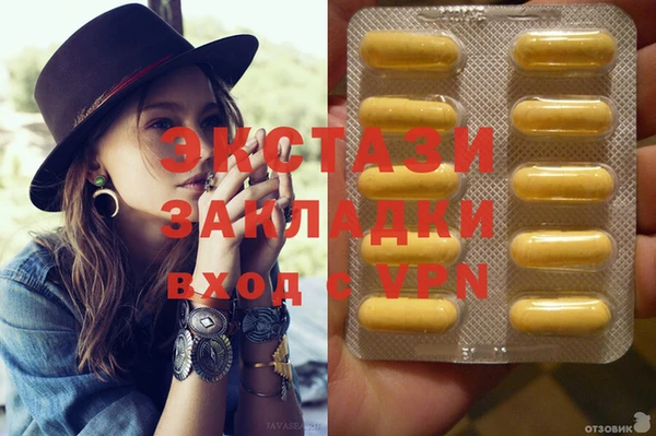 тгк Дмитриев