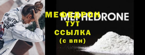 тгк Дмитриев