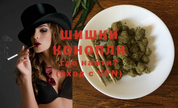 тгк Дмитриев