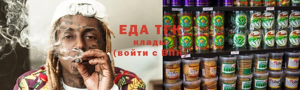 тгк Дмитриев