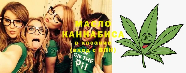 стафф Ельня