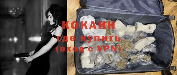 тгк Дмитриев