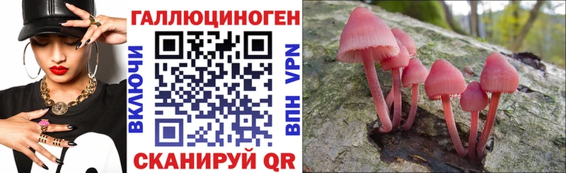 Купить где  Чишмы  Галлюциногенные грибы Psilocybine cubensis 